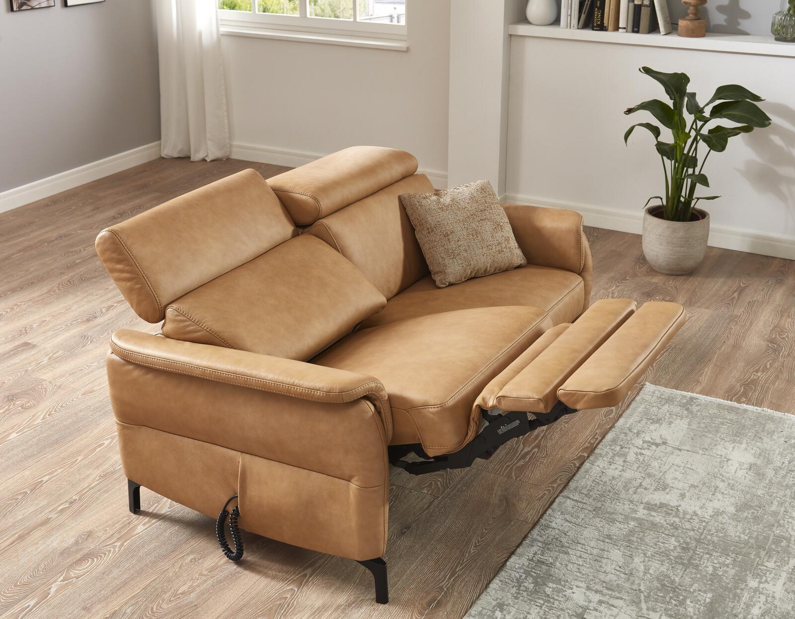 Leder 2-Sitzer Sofa mit Federkern