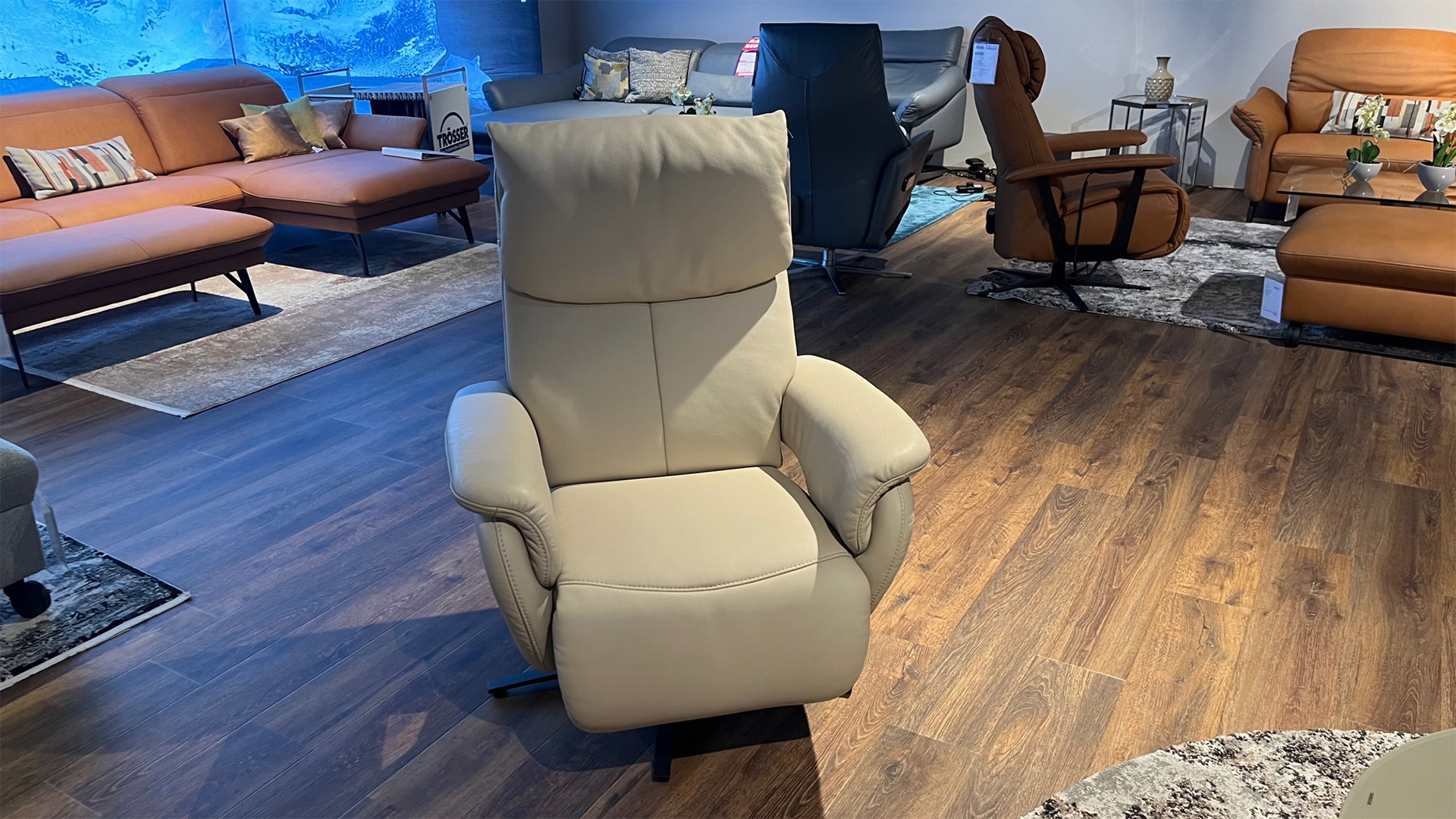 Himolla Relaxsessel mit manueller Relaxfunktion und Sitzhöhenverstellung in Leder-0147010716-36WW-A
